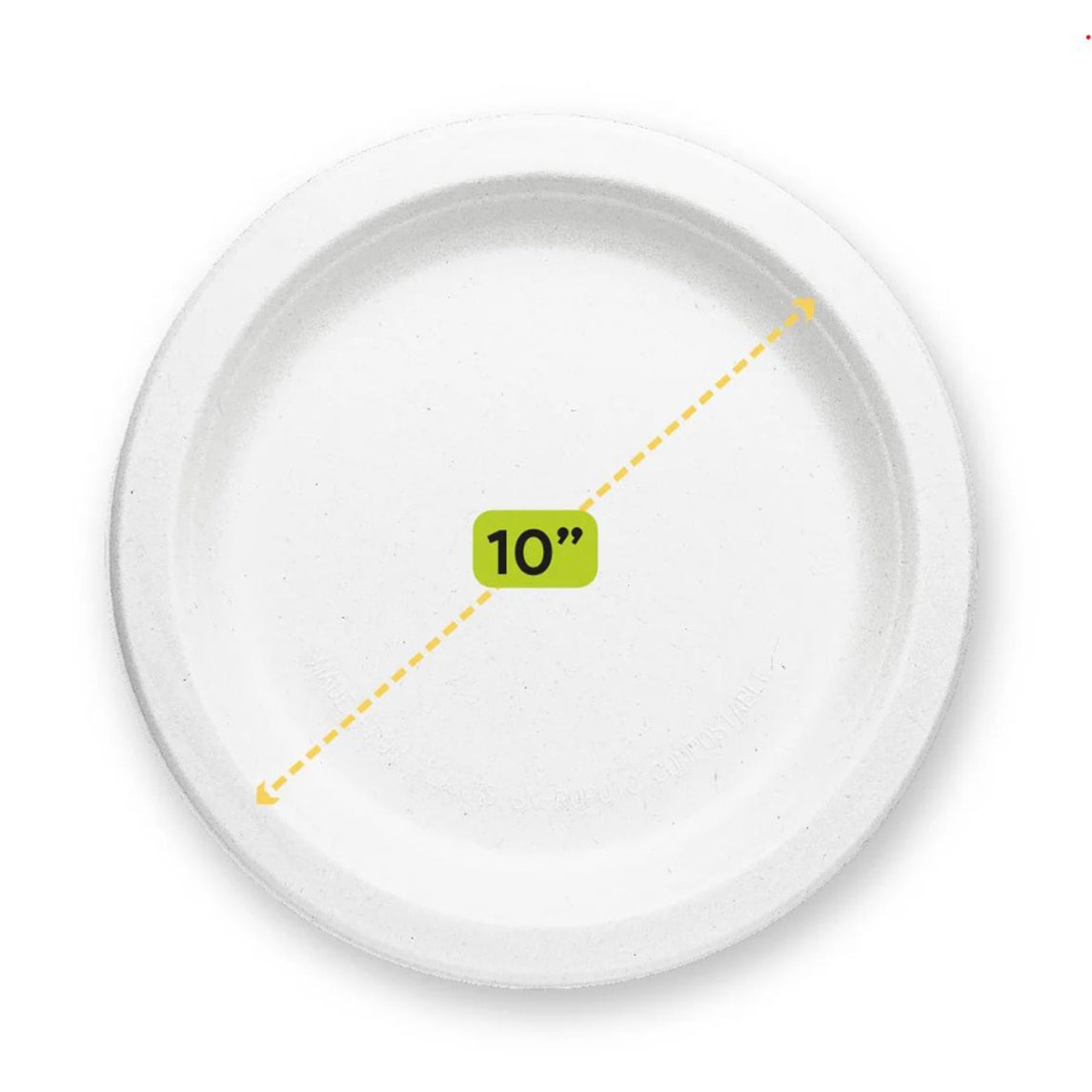 10" Round Paper Plates - Bulk 500pcs