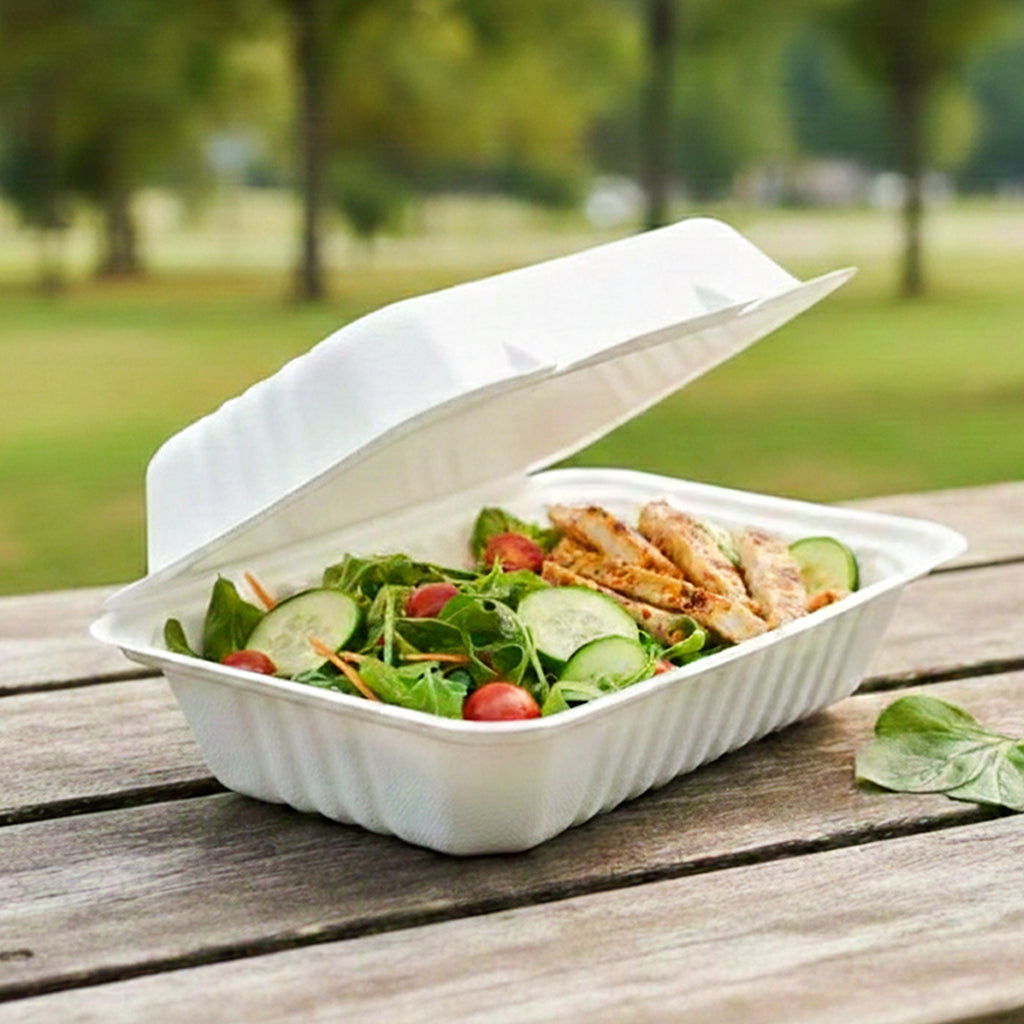9X6 Bagasse Clamshell - 250pcs