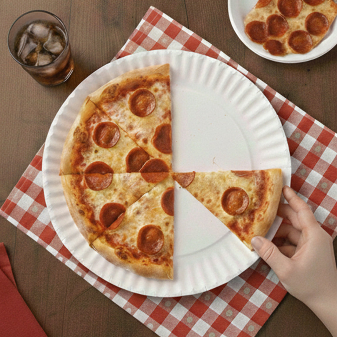 9" Standard Pizza Paper Plates - 1200 Pcs